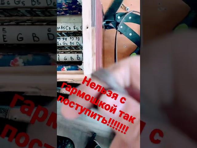 Warning!!нельзая!!#гармошка #баян #баянист #shortvideo #Маккорд ремонт баянов!аккордеонов!