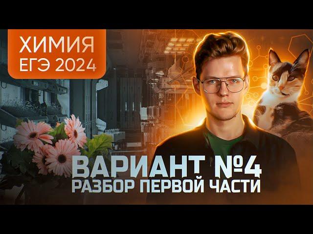 Вариант №4 ЕГЭ по ХИМИИ 2024, Степенин и Дацук | Анна, Влад и Варя с химфака МГУ