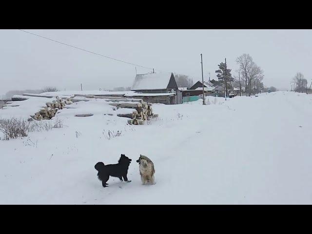 Переехать жить в село. Николаевка ждет своих переселенцев. №6