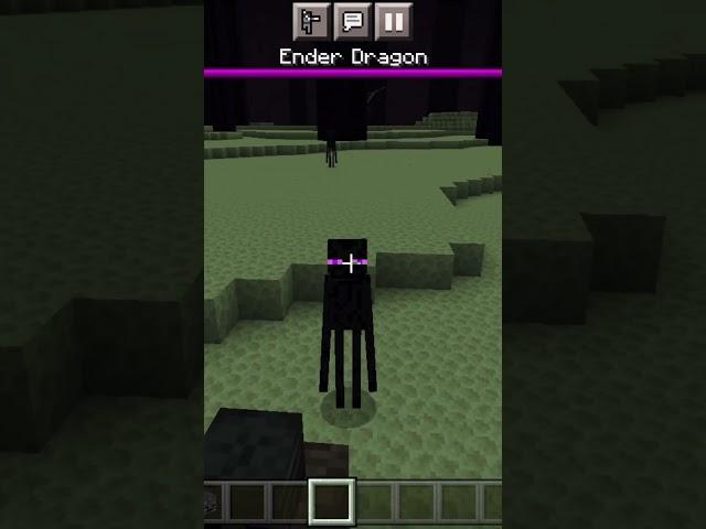 Minecraft all bosses #minecraft