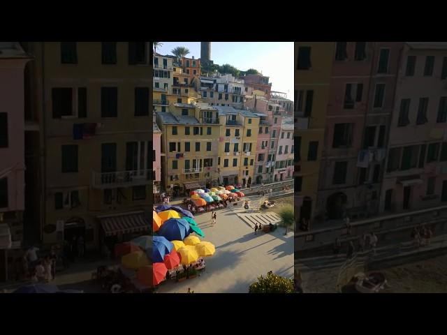 Nicholls Online in Vernazza