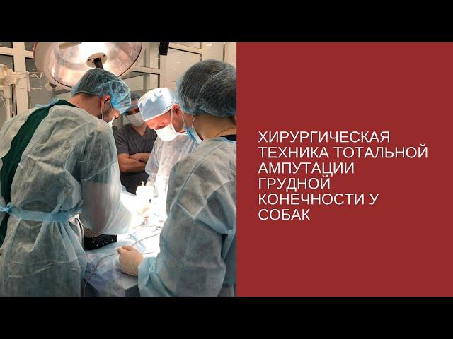 Surgical technique for total amputation of the thoracic limb in dogs