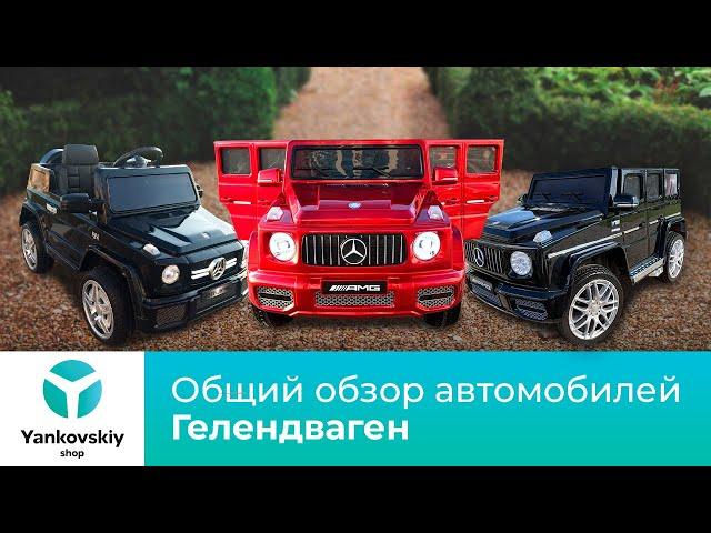 Общий обзор электромобилей Гелендваген | Янковский Шоп