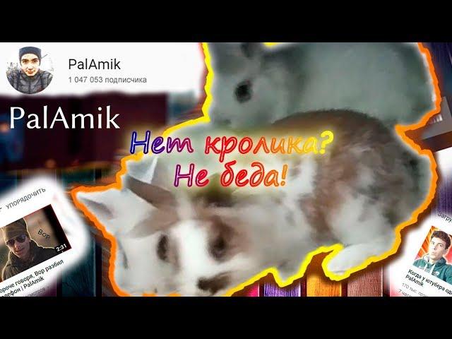 Фокус с кроликом | PalAmik