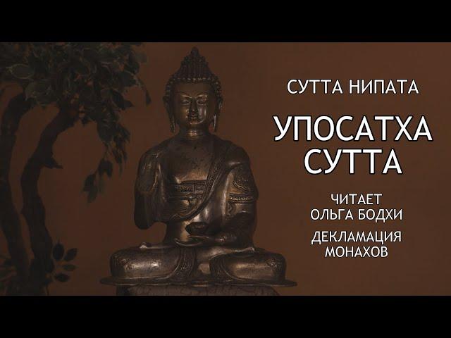 Упосатха сутта. Упосатха. Ангуттара Никая 3.70. Читает Ольга Бодхи / Студия Бодхи