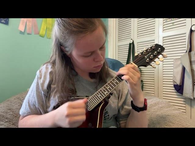 My new piccolo mandolin!!  ️ "Angeline the Baker" - Lucy Lindblom