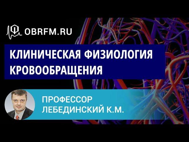 Профессор Лебединский К.М.: Клиническая физиология кровообращения: то, что важно на каждый день