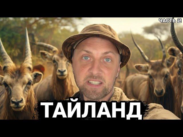 САМЫЙ НЕОБЫЧНЫЙ ЗООПАРК ТАИЛАНДА | ЗУБАРЕВ | ЗУБАРЕВ В КИТАЕ