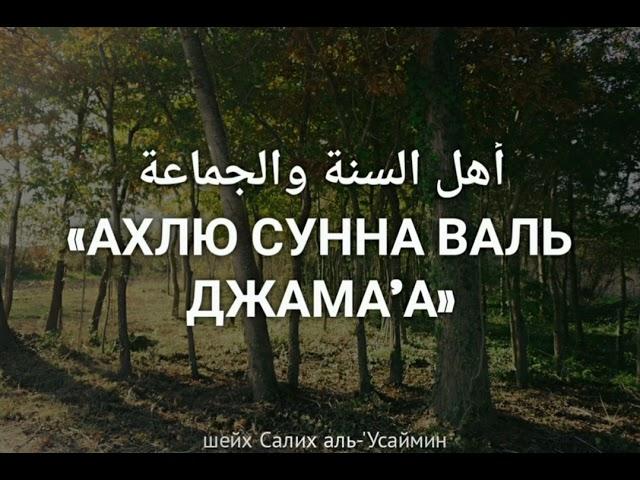 Кто такие Ахлю Сунна Валь Джама'а ? – шейх Салих аль-'Усаймин