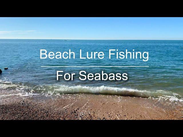 Beach Lure Fishing For Seabass UK (Catch & Cook)