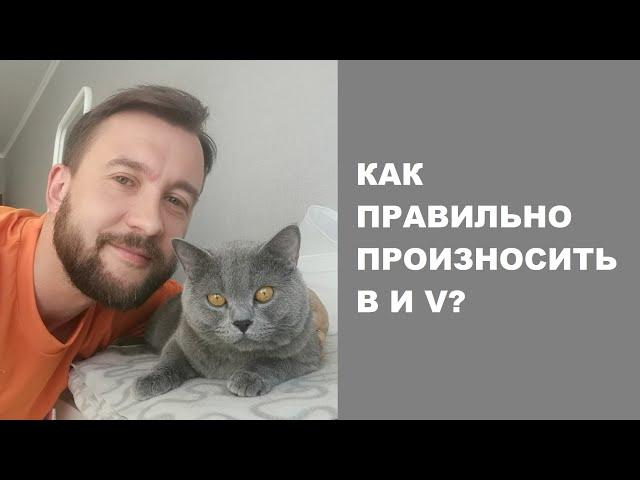 Как правильно читать буквы B и V. Правда ли, что они читаются одинаково?