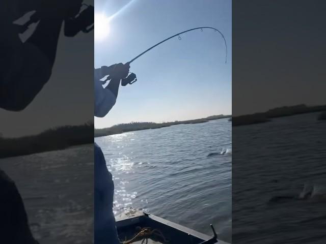 Get in the boat!!! #fishing #redfish #louisiana #bassfishing #fish #outdoors #fishing #