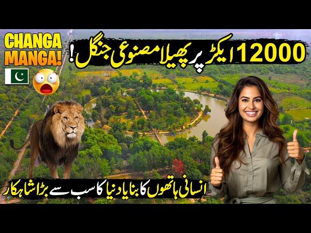Asia's Biggest Hand-Planted Forest Changa Manga | Live Animals In Jungle | Discover Pakistan