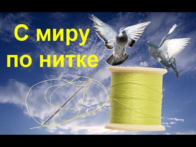 Благотворительный проект "С миру по нитке"!