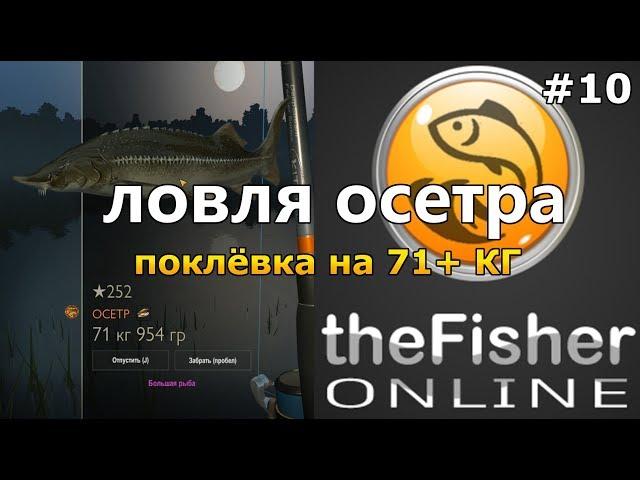 theFisher Online ЛОВЛЯ ОСЕТРА Поклёвка и рекорд на 71+ кг [Не Гайд]