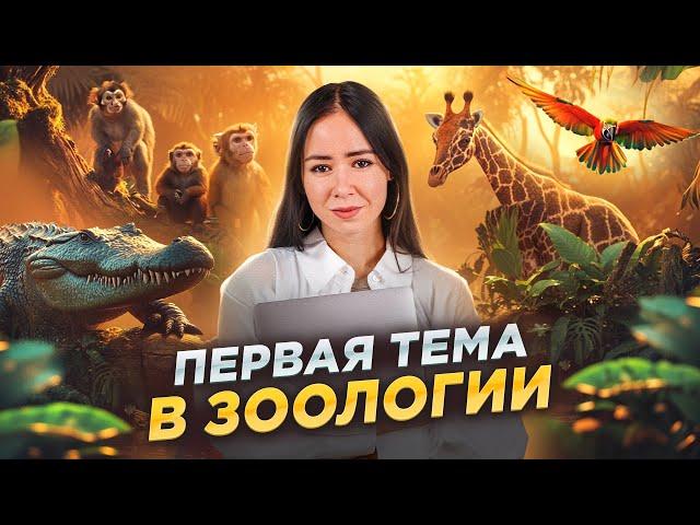 Все о простейших для ЕГЭ: первая тема в зоологии I Умскул