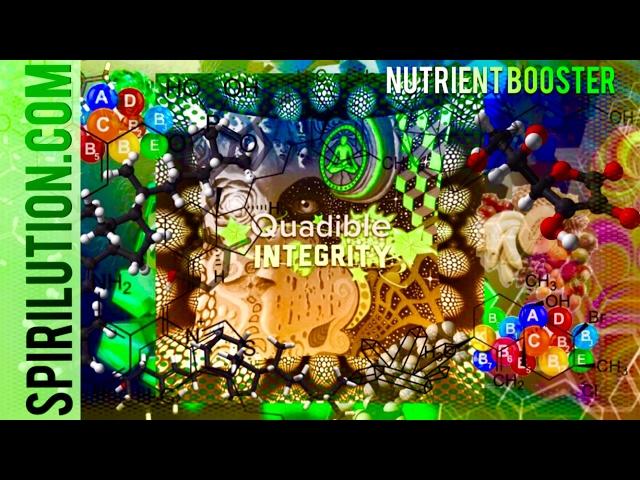 Nutrient Absorption Booster (Binaural Beats Healing Frequency Meditation Music)