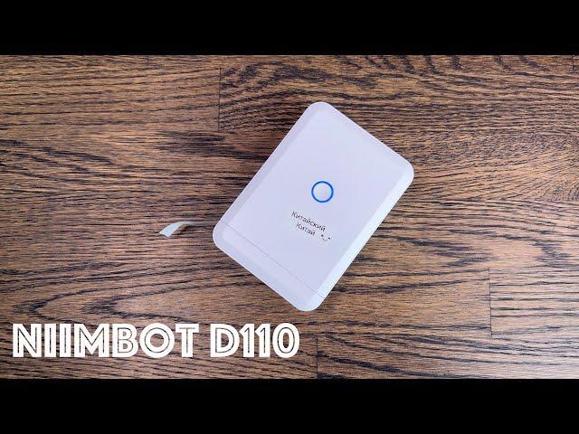 Мини принтер Niimbot D110