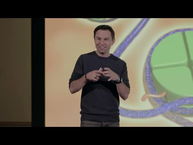 Is Aging Reversible? A Scientific Look with David Sinclair | David Sinclair | TEDxBoston