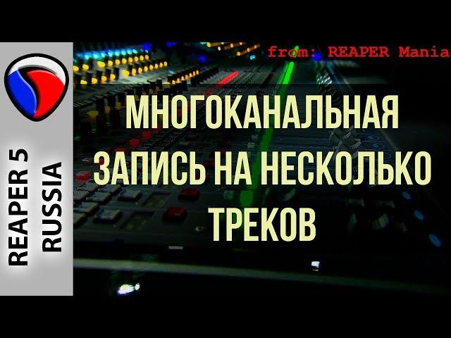 Многоканальная запись на несколько треков - Запись в REAPER