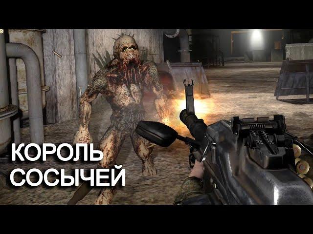 КОРОЛЬ КРОВОСОСОВ. Лабиринт S.T.A.L.K.E.R. #8