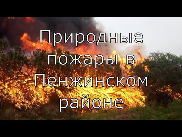 Огненная западня! Шансов нет. Пожары на севере Камчатки. Пенжинский район. Камчатка. Пенжина.