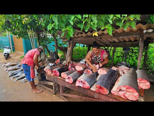 Wow!! Beautiful Nature Village's Worth Fish Market in Amazing Sri Lanka