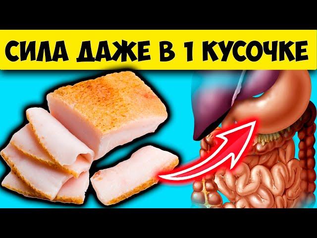 Даже кусочек сала вызывает необратимые процессы в организме.  Сало польза или вред?