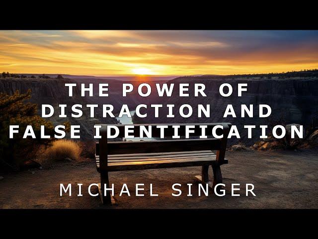 Michael Singer - The Power of Distraction and False Identification