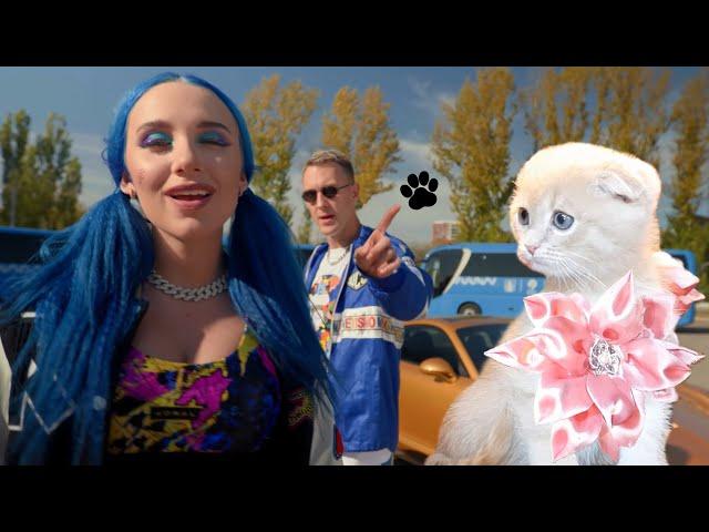 Mia Boyka & T-Killah - Лепесток Пародия котенка Реакция REMIX