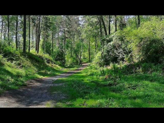 Тропа на Камышлинский водопад