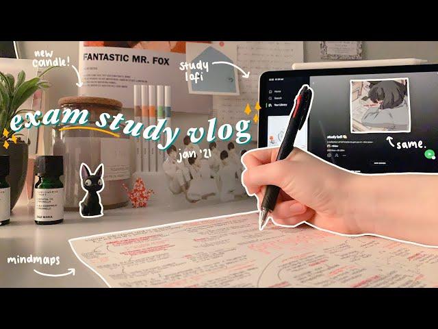 exam week study vlog : surviving off of pasta, mindmaps, sticker haul