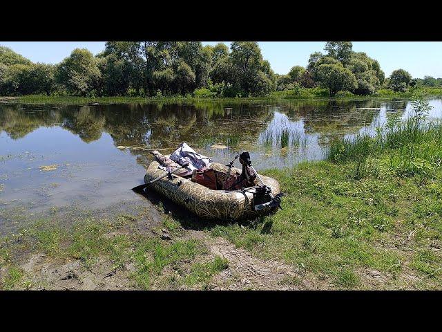 Заросшее Краснодарское водохранилище 14.06.2024