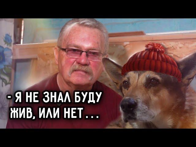 Сюрприз для беженца который выживал в машине с собакой