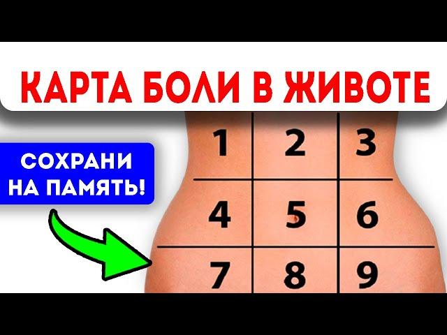 Вот как БЫСТРО УЗНАТЬ, почему у Вас БОЛИТ ЖИВОТ! Карта боли в животе