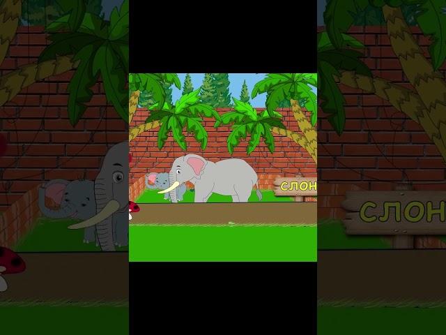 ЗООПАРК УЧИМ ЖИВОТНЫХ.ОКРУЖАЮЩИЙ МИР  #мультфильм #мультик #animation