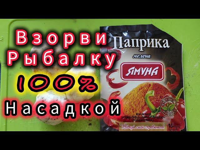 ВЫЛОВИ ВСЮ РЫБУ ЭТОЙ НАСАДКОЙ!!! Насадка на Карася ,Карпа,ПлотвУ!!!