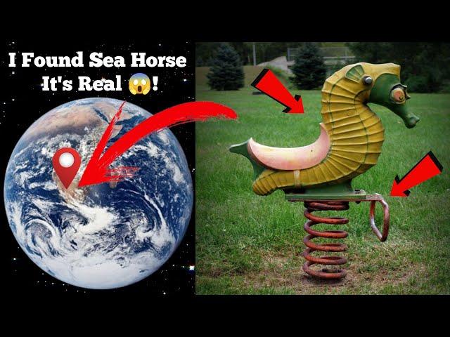 I Found Sea Horse Sculpture  on google maps and google earth  #map #earth #googleearthengine