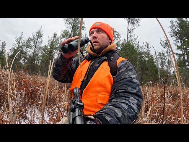 Michigan Deer Hunting & Camping Adventure