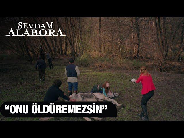 Zeynep ve Banu tartışıyor  - Sevdam Alabora