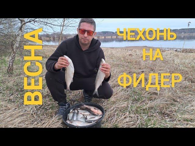 Приехали половить подлещиков , а тут ОНА !!!!! ЧЕХОНЬ  НА ПЕНОПЛАСТ !