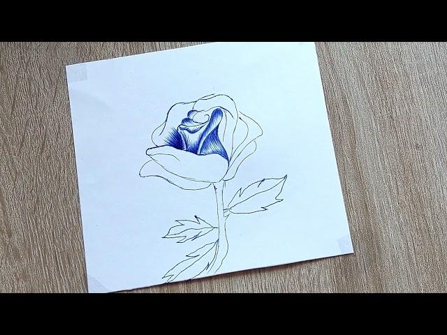 How to Draw a Rose Easy With Pencil 1 Hour Video