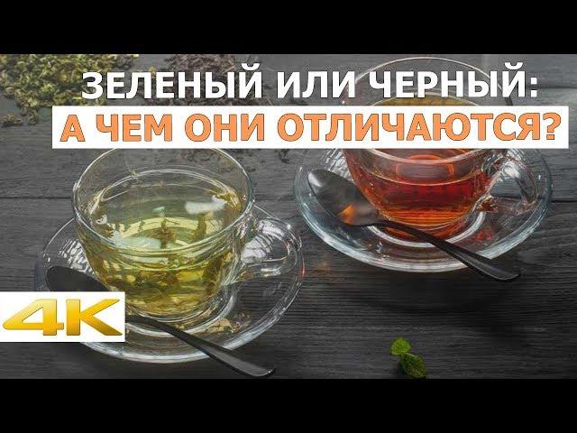 Белый, зеленый, черный чай или улун: чем они отличаются?