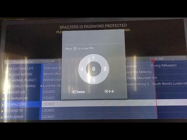 Setv adult channels how to input the pin !!!!! On the Firetvstick