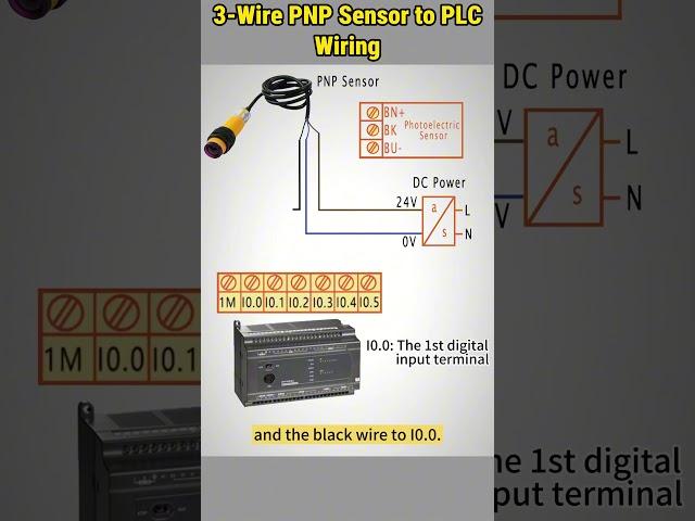 PNP Sensor to PLC Wiring #howto #sensor #wiring #connection