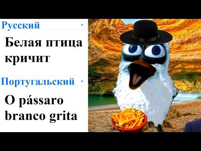 White bird screams in different languages ​​meme!