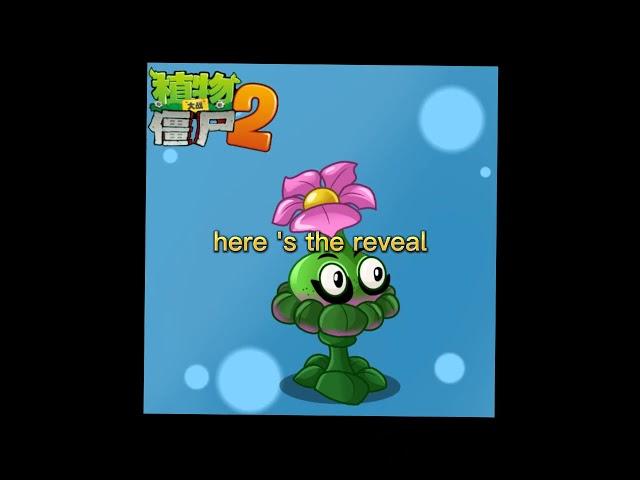 new fan art plant for the pvz 2 chinese version