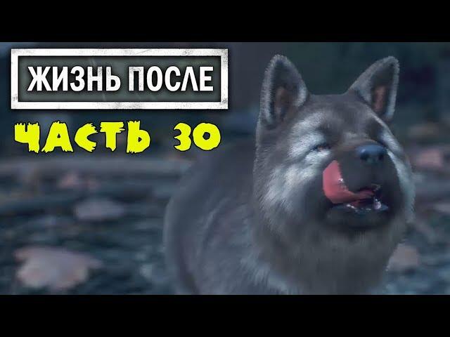 Спасли Щенка, подарили собаку Бухарю! DAYS GONE Летсплей [ЖИЗНЬ ПОСЛЕ] #30 ps4 exclusive