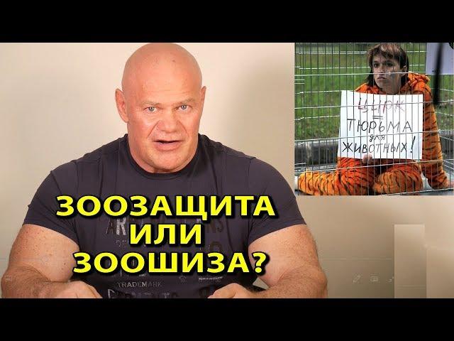 Зоозащита или зоошиза? Защитники животных или лицемеры?