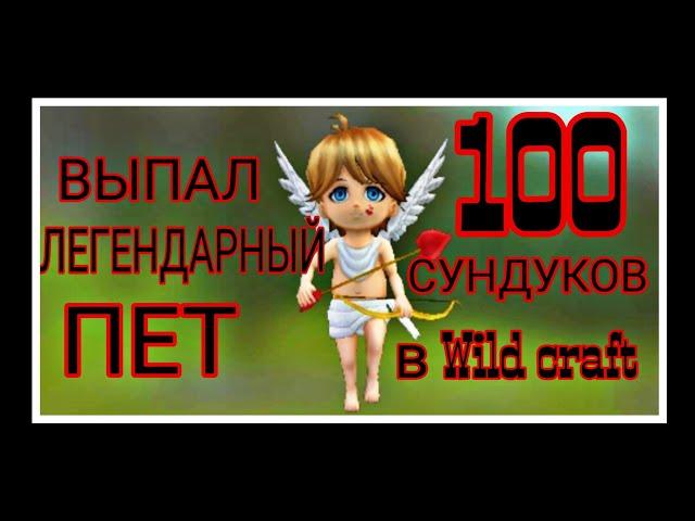 ВЫПАЛ ЛЕГЕНДАРНЫЙ ПЕТ ИЗ 100 СУНДУКОВ!!! Открываем 100 сундуков в вайлд крафт